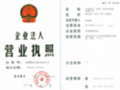 Company Business License Certificate